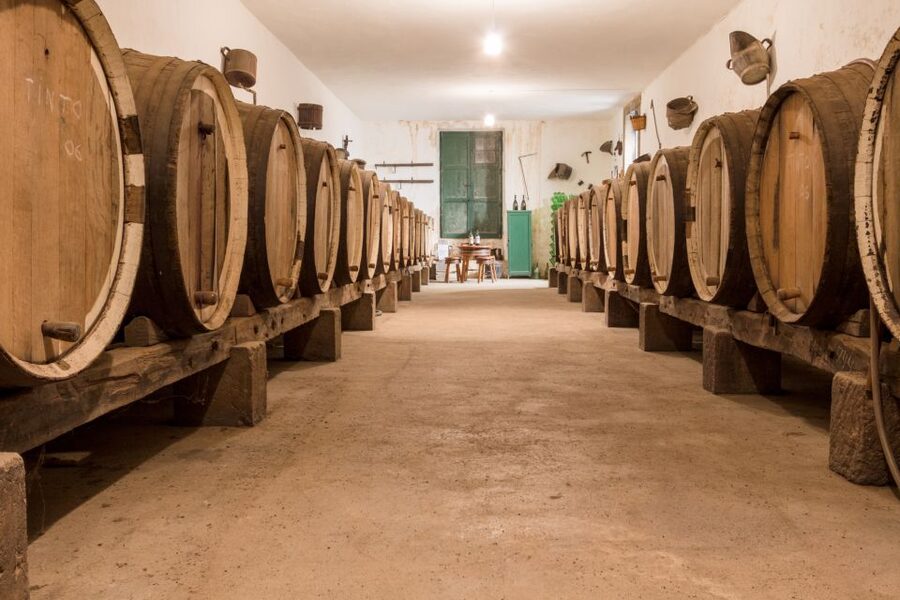 Gran Canaria: Winery Tour, Wine Museum, and Tasting - Who will enjoy this Gran Canaria tour?