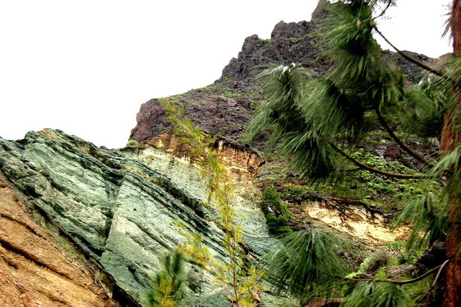 Grand Tour in Gran Canaria - Agaete, the port, and the lunch choice