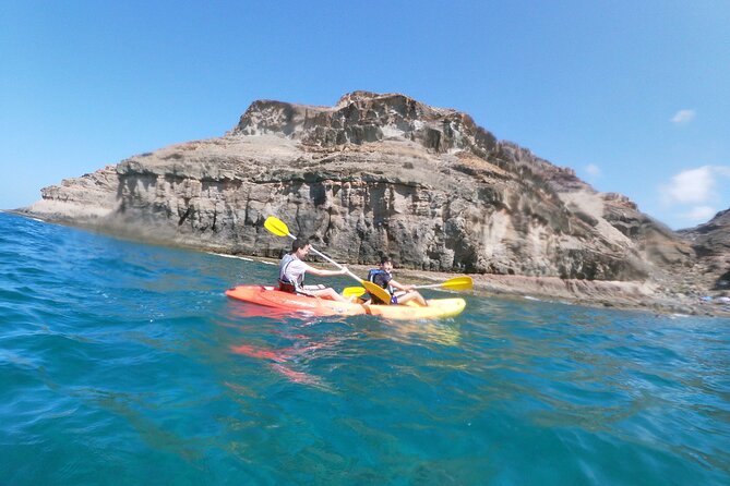 Guided Kayaking Trip in Gran Canaria - What the $74.65 price includes