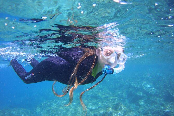 Guided Snorkelling Experience in South of Gran Canaria - Key points at a glance