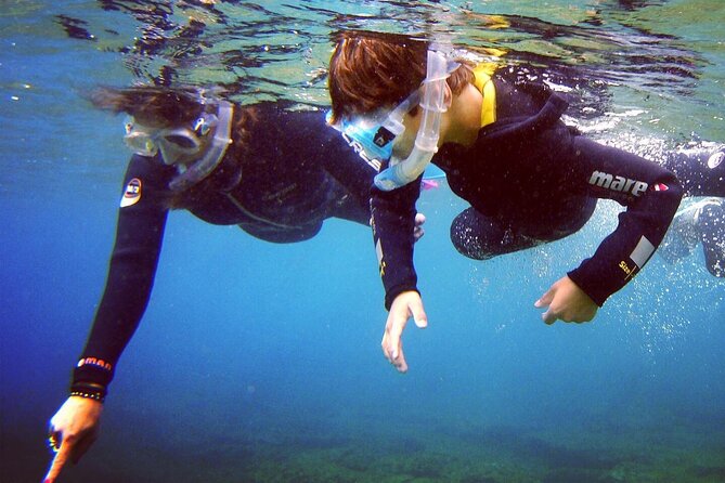 Guided Snorkelling Experience in South of Gran Canaria - Getting comfortable in shallow water