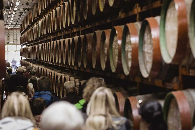 Guided Tour at Ron Arehucas Distillery - Key points to know before you book