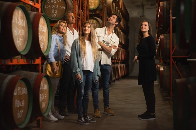 Guided Tour at Ron Arehucas Distillery - What the Arehucas visit is really like