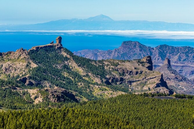 Guided tour: Discover Gran Canaria - Key points to know before booking