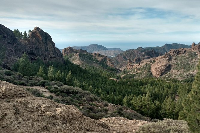 Guided tour: Discover Gran Canaria - One day, several Gran Canarias