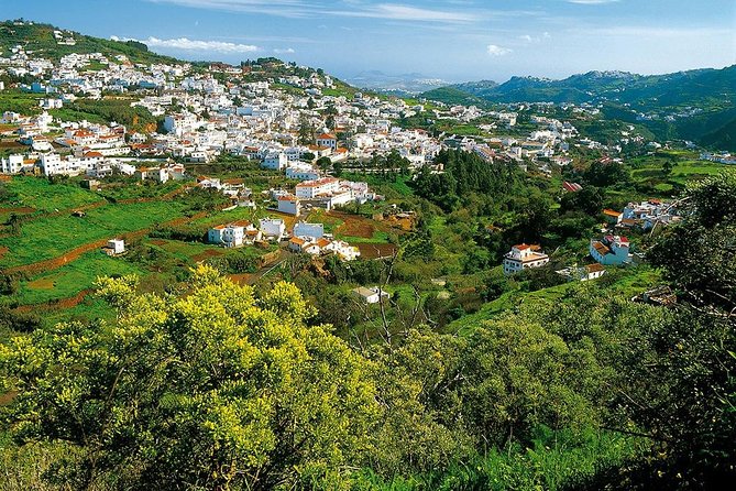 Guided tour: Discover Gran Canaria - The aloe vera plantation in Fataga