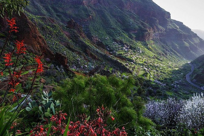 Guided tour: Discover Gran Canaria - Lunch, drinks, and the real cost of the day