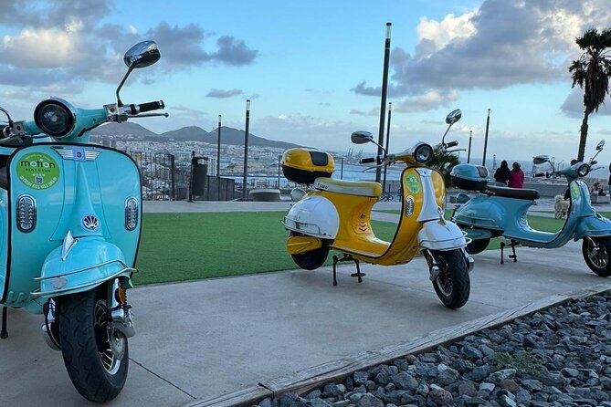 Guided Tour With Electric Moped - Doramas Park and a miniature Canarian town