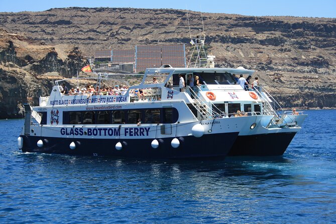 Half-Day Cruise Tour-Dolphin and Whale Watching - The swim and snorkel stop near Puerto Rico