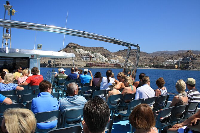 Half-Day Cruise Tour-Dolphin and Whale Watching - How much value do you get for $44.65?