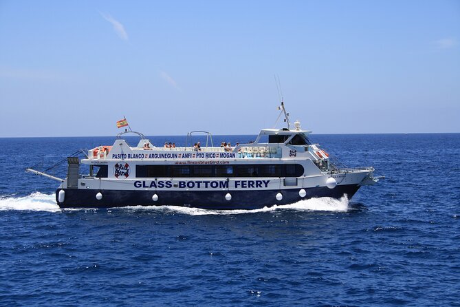 Half-Day Cruise Tour-Dolphin and Whale Watching - Who will enjoy this cruise most?