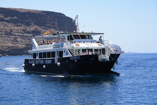 Half-Day Cruise Tour-Dolphin and Whale Watching - Practical details that make the morning easier