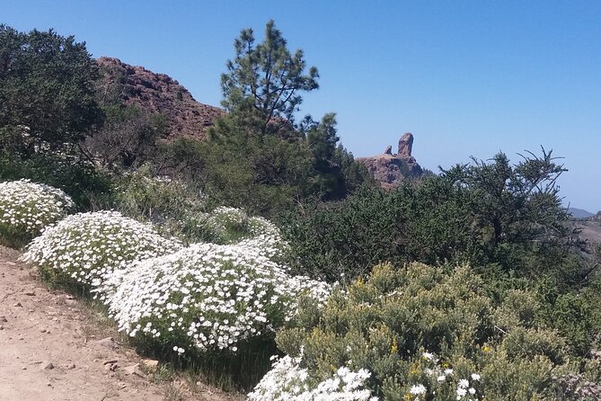 Hikes Roque Nublo - The winding drive from pickup to the trailhead
