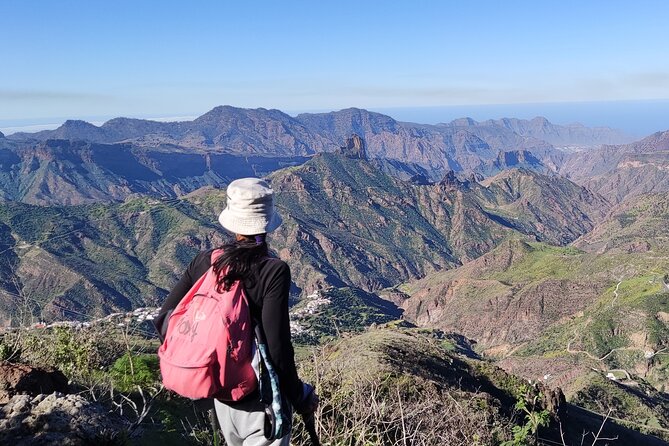 Hikes Roque Nublo - Pine forests, open views, and island wildlife