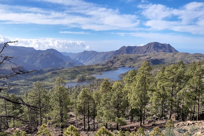 Hiking experience in the north of Gran Canaria - Key points to know before you book