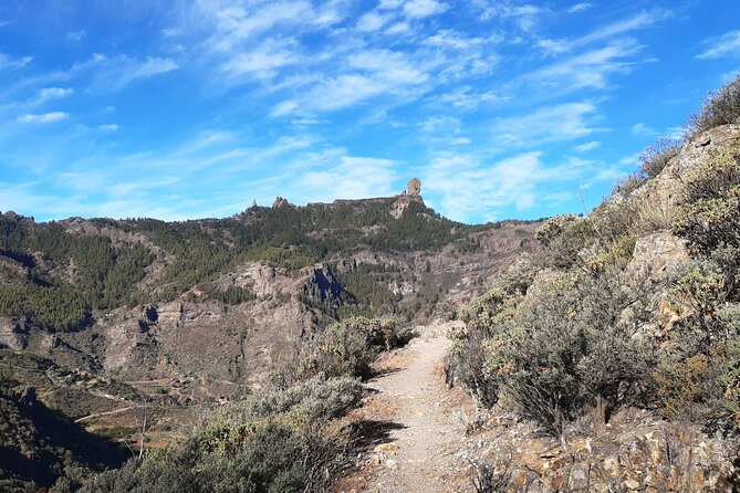 Hiking experience in the north of Gran Canaria - Price and what you are really buying