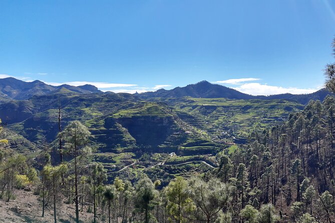 Hiking experience in the north of Gran Canaria - Why the changing route can work in your favor