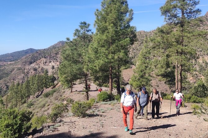 Hiking in the Sacred Mountains of Gran Canaria: UNESCO - What the 7-kilometre route feels like