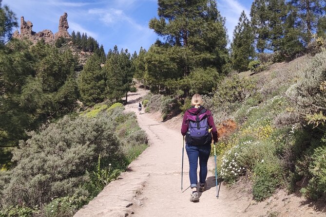 Hiking in the Sacred Mountains of Gran Canaria: UNESCO - Is $107.17 a fair price?