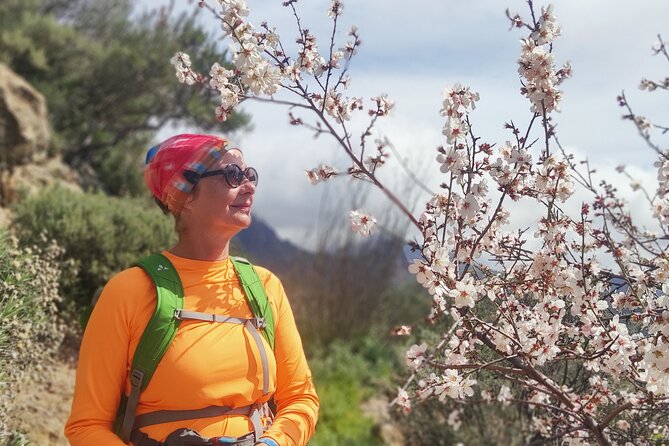 Hiking in the Sacred Mountains of Gran Canaria: UNESCO - Roque Nublo brings the famous mountain views