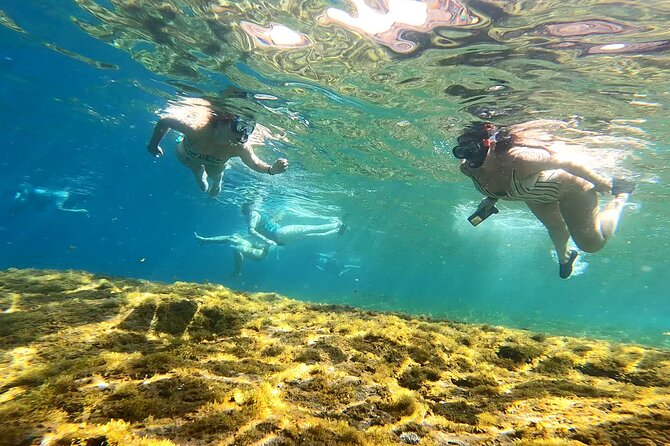 Kayaking Adventure Route with Snorkeling in Mogan Caves - Fitness rules are practical, not decorative
