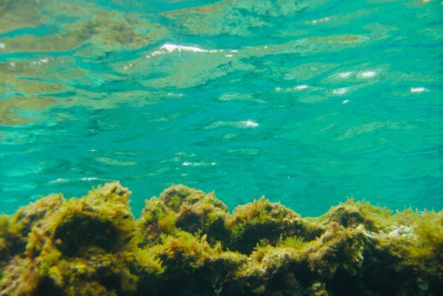 Las Canteras Scuba Diving - How much time do you actually spend underwater?