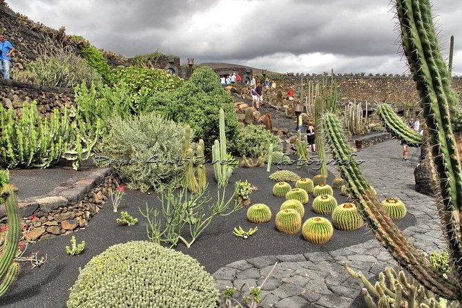 Las Palmas, Botanical Garden & Bandama Crater tour - Gran Canaria - Bandama Crater: a quick look into Gran Canaria’s volcanic past