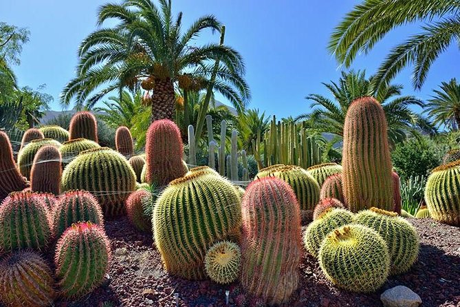 Las Palmas, Botanical Garden & Bandama Crater tour - Gran Canaria - Two views of Vegueta, the old quarter of Las Palmas