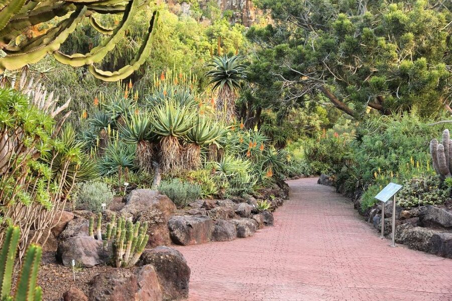 Las Palmas, Botanical Gardens and Bandama Volcano Tour - Practical details that can make the day easier