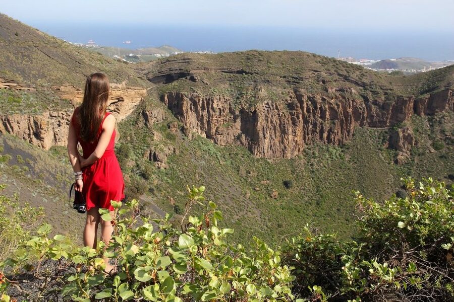 Las Palmas, Botanical Gardens and Bandama Volcano Tour - Bandama Crater, a volcanic view in 15 minutes