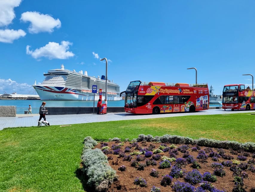 Las Palmas: City Sightseeing Hop-On Hop-Off Bus Tour - Best ways to plan your day
