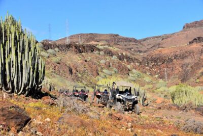 Gran Canaria Guided Buggy Tour