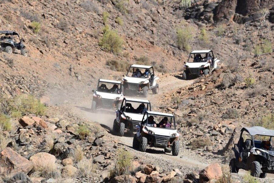 Las Palmas: Gran Canaria Guided Buggy Tour - What the guide adds to the outing
