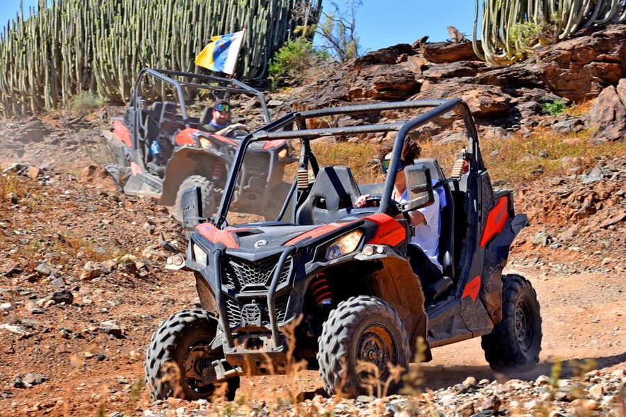 Las Palmas: Gran Canaria Guided Buggy Tour - The drawbacks you should take seriously
