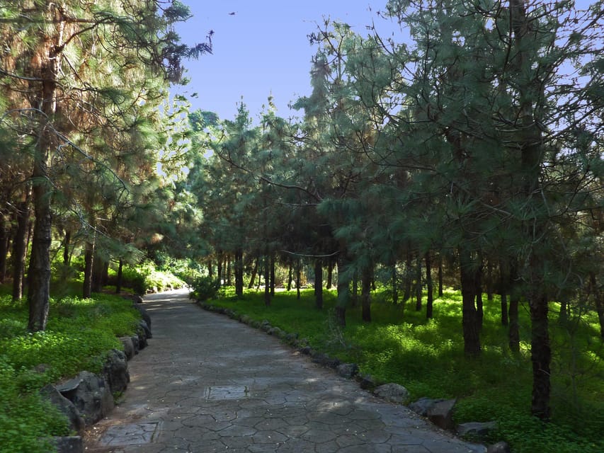 Las Palmas: Privat Botanic Garden Tour & opt. hike Extension - Why this botanical garden deserves your time