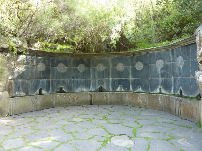 Las Palmas: Privat Botanic Garden Tour & opt. hike Extension - Is the $34 price good value?