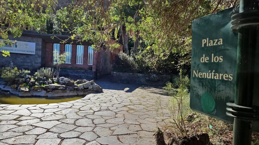 Las Palmas: Privat Botanic Garden Tour & opt. hike Extension - Should you book it?