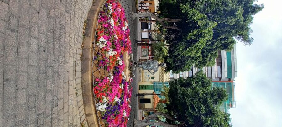 Las Palmas: Private City Highlights & Northern Villages Tour - Why this route works so well