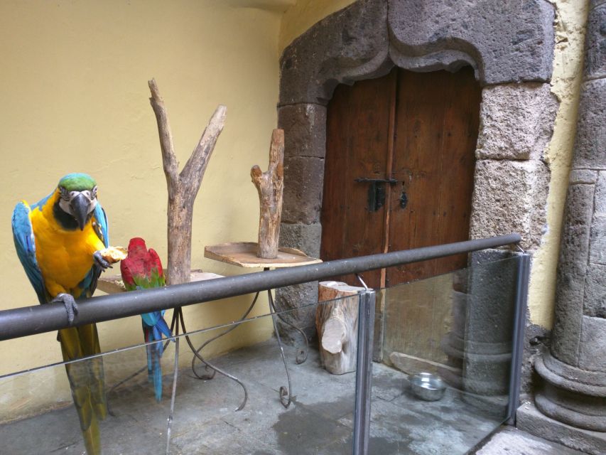Las Palmas: Private Old City Guided Walking Tour with Tapas - Why this Las Palmas walk works well