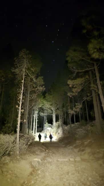 Las Palmas: Sunset & Night Sky Guided Astronomy Hiking Tour - Who will enjoy this night hike most