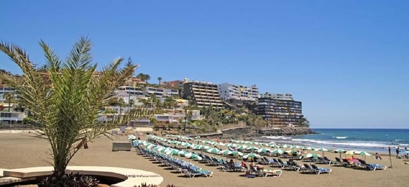 Maspalomas: 1 Hour Segway Sightseeing Tour - How to make the most of your one hour