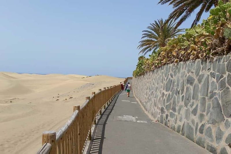 Maspalomas: 1 Hour Segway Sightseeing Tour - What $51 means for the value