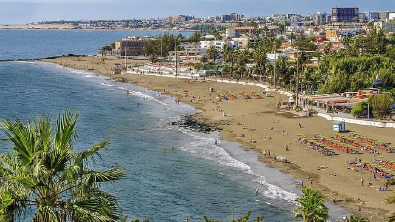 Maspalomas: 1 Hour Segway Sightseeing Tour - Who can ride, and who should skip it