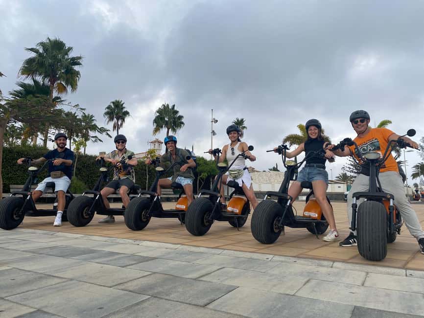 Maspalomas: 2-Seater Chopper E-Scooter Rental - Botanical plants and a small bird lagoon