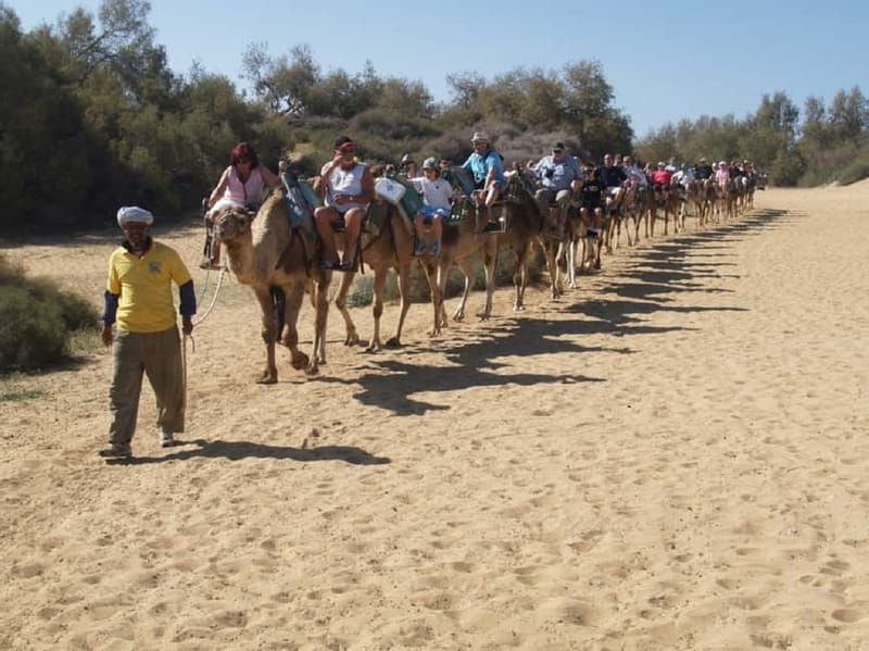 Maspalomas: 2-Seater E-Scooter Dunes Tour with Camel - Meeting at Cita Shopping Center
