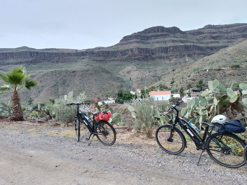 Maspalomas: Ayagaures E-Bike Mountain Tour Optional Tapas - Riding through Parque del Sur