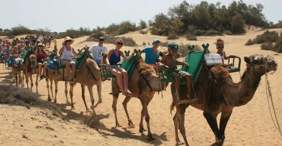 Maspalomas: Guided Camel Ride in the Maspalomas Sand Dunes - Thirty minutes among the rolling dunes