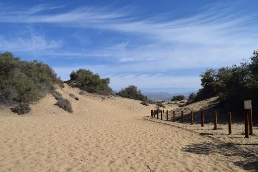Maspalomas: Guided Camel Ride in the Maspalomas Sand Dunes - Is $21 good value for 30 minutes?