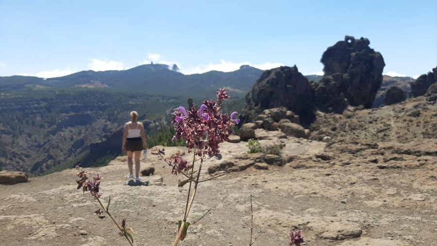 Maspalomas: Hiking to Roque Nublo with 2 authorised guides - Is $93 a fair price for 5.5 hours?