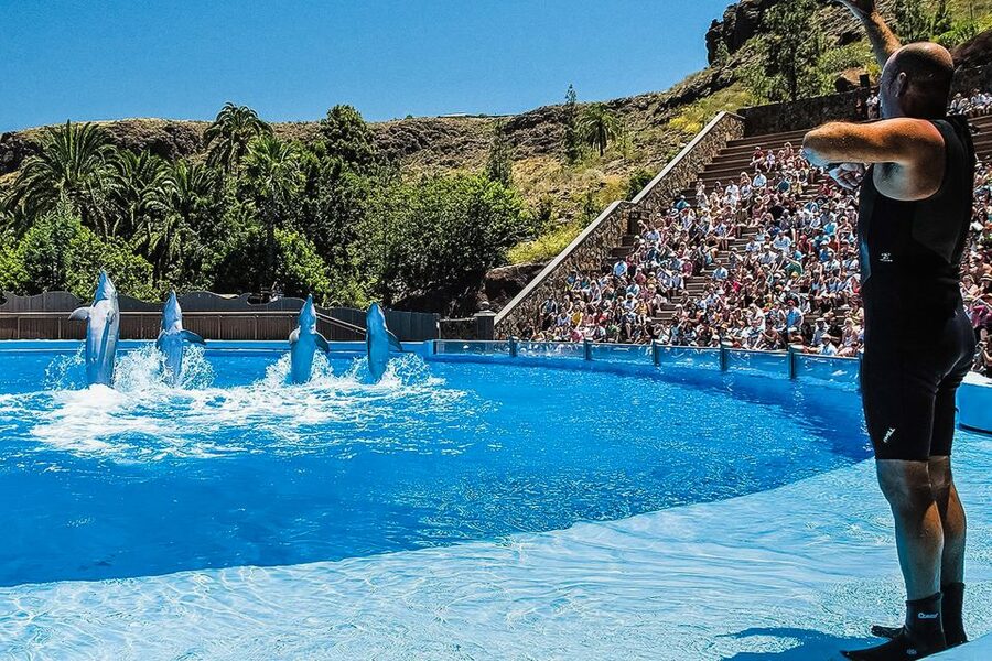 Maspalomas: Palmitos Park Ticket with Dolphin and Bird Shows - Butterflies, orchids and tropical plants